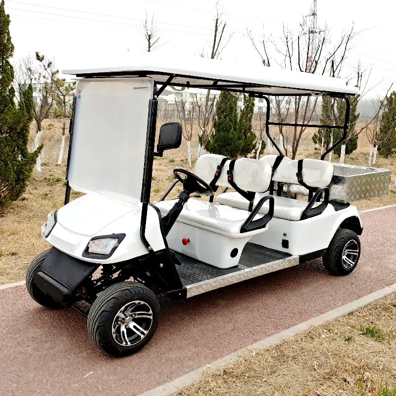 Kineska tvornica isporučuje personalizirane 2-8-lokalni klub automobili na baterije, golf kolica, atv terena