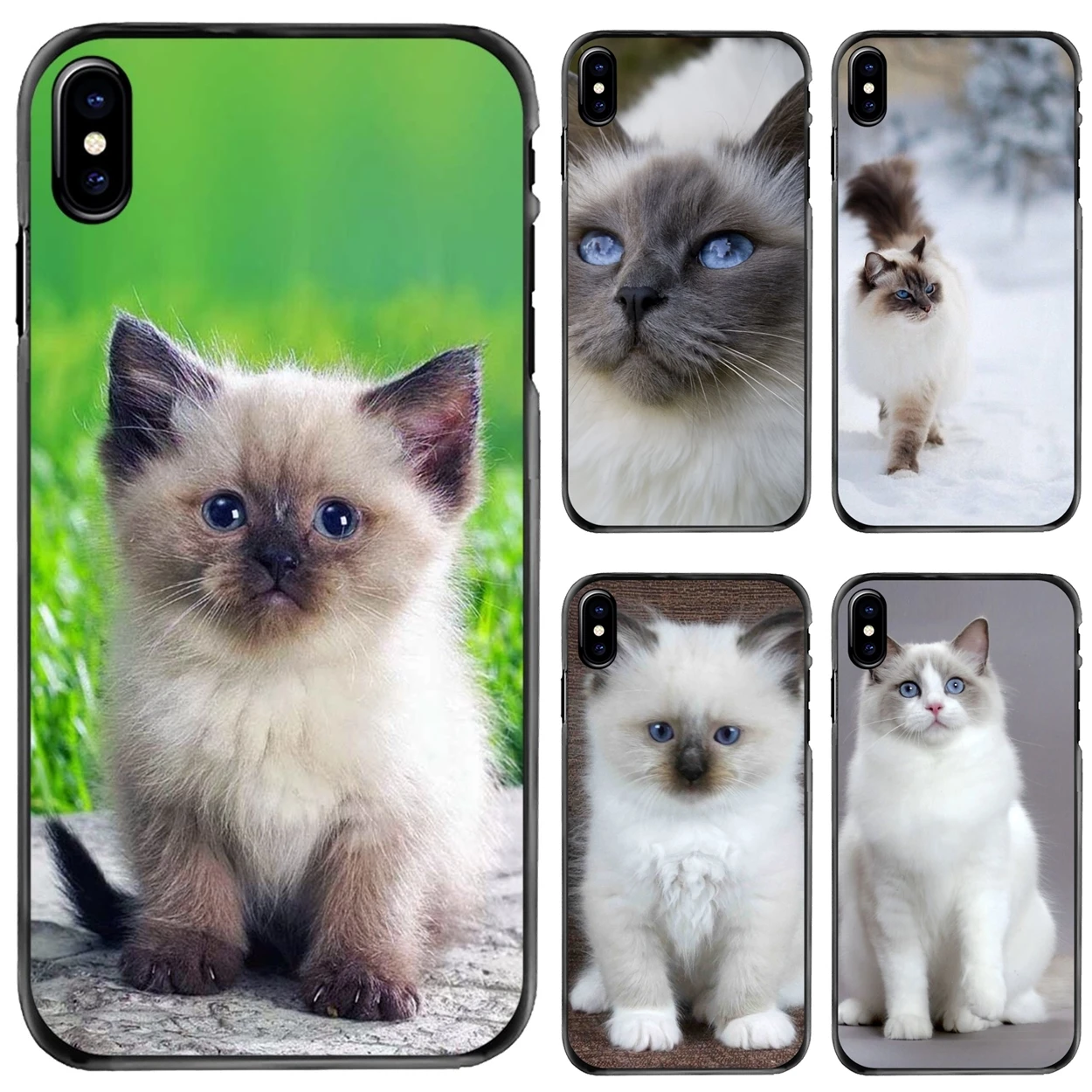 Tvrda Torbica Za Telefon Torbica Za Apple iPhone 11 12 13 14 Pro MAX Mini 5 5S SE 6 6S 7 8 Plus 10 X XS XR pet рэгдолл mačka plave oči